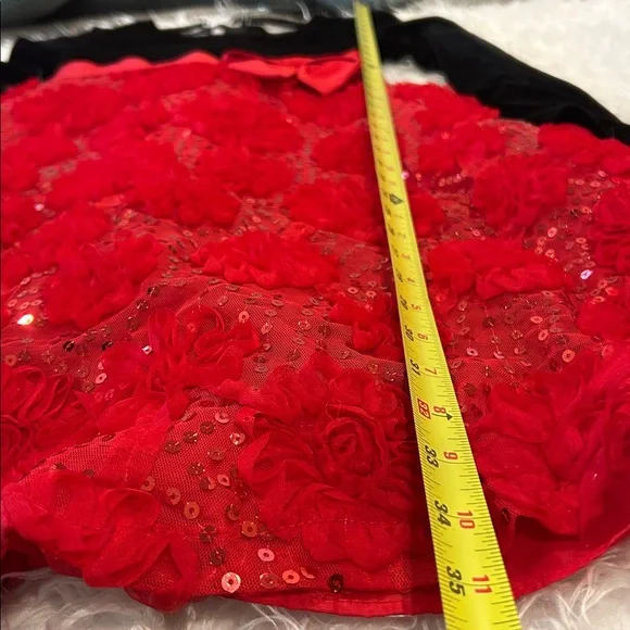 Bonnie Jean Dress Black Velvet Upper Red 3D Flowers Sequin Accents Size 16 - Picture 10 of 10